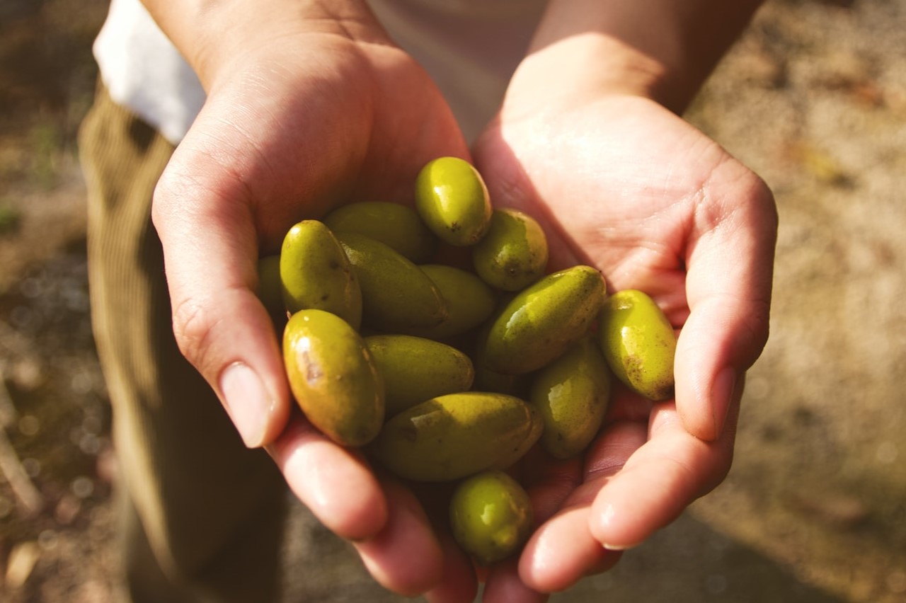 Why Soy Wax is the Better Choice for a Cleaner burn